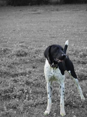 WhatsApp-Image-2025-05-08-at-12.13.31-AM-768x1024