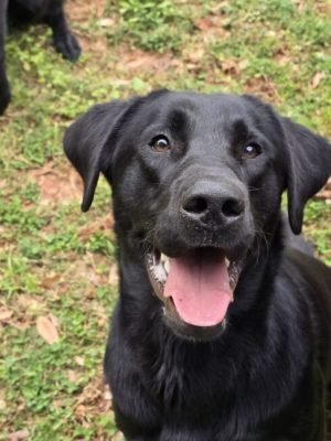 WhatsApp-Image-2025-05-08-at-12.13.31-AM3-1-650x650